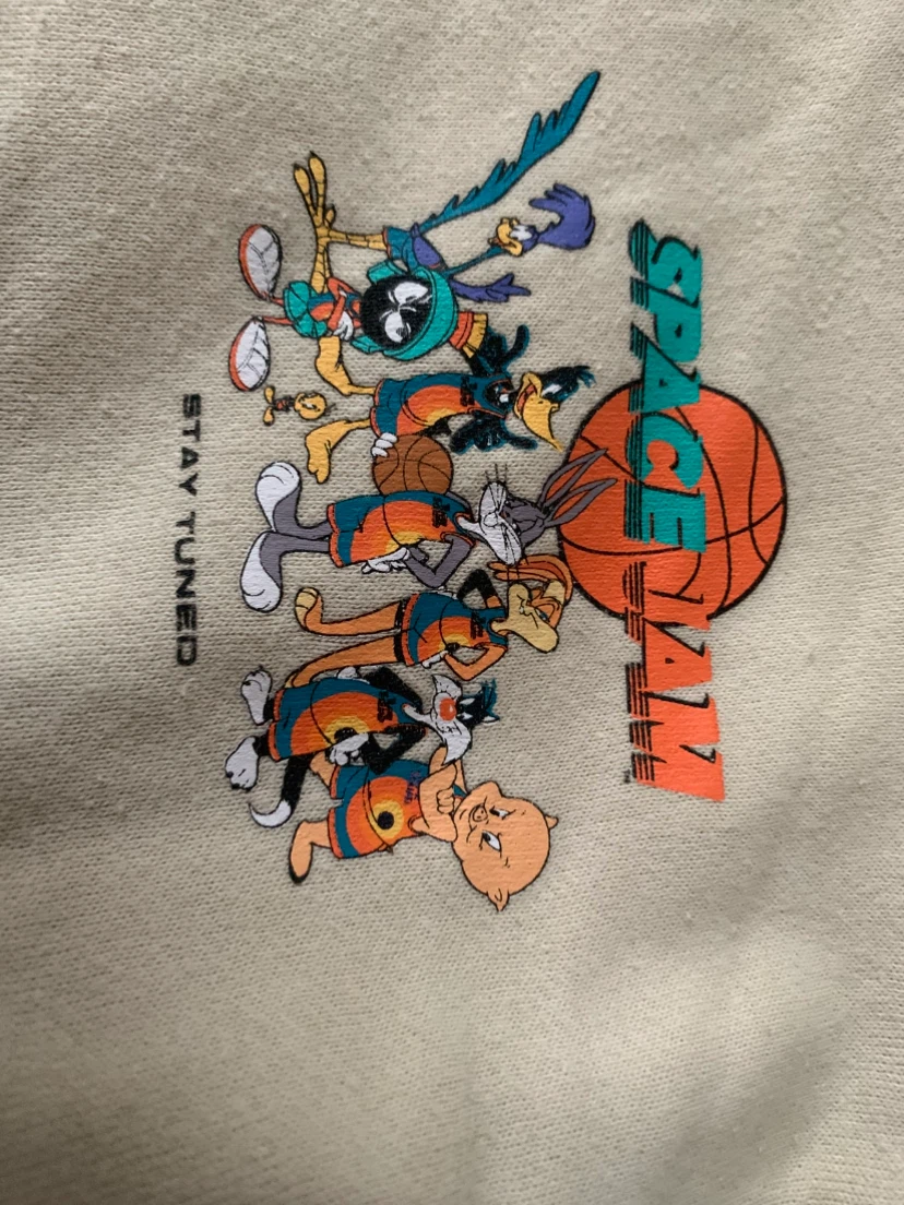 Space Jam A New Legacy Hoodie (M) - photo 2