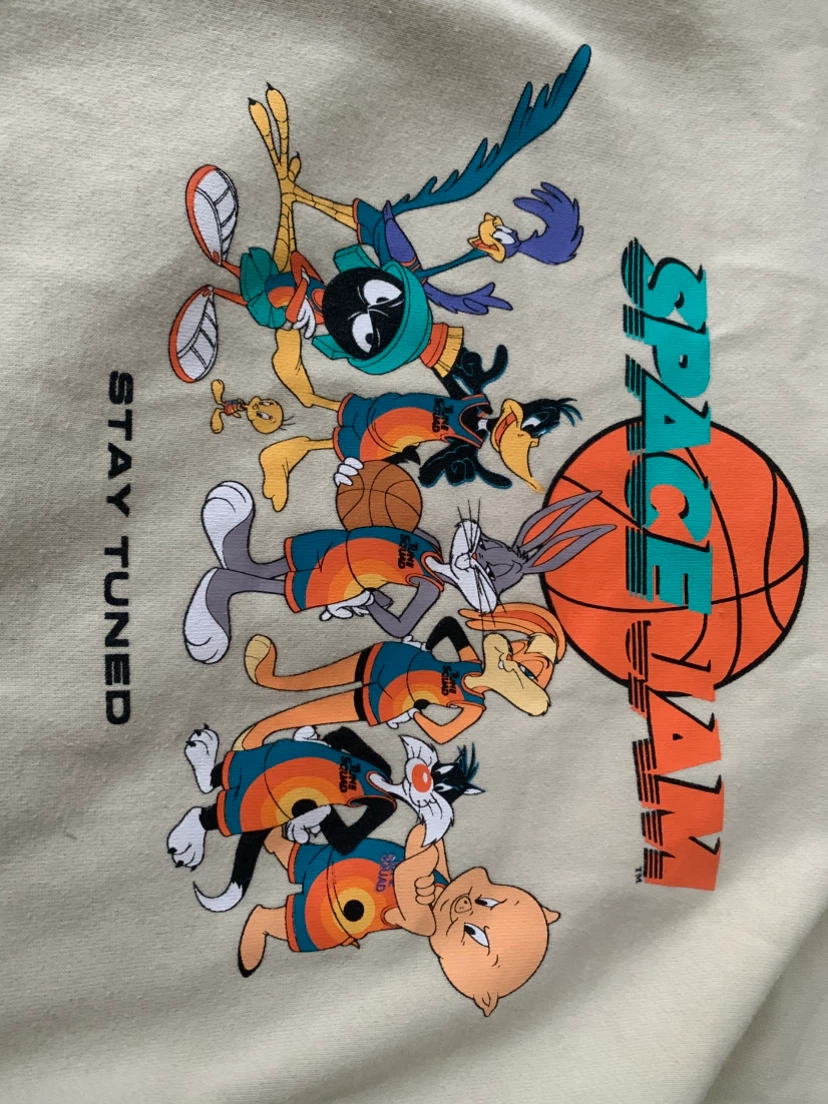 Space Jam A New Legacy Hoodie (M) - photo 4