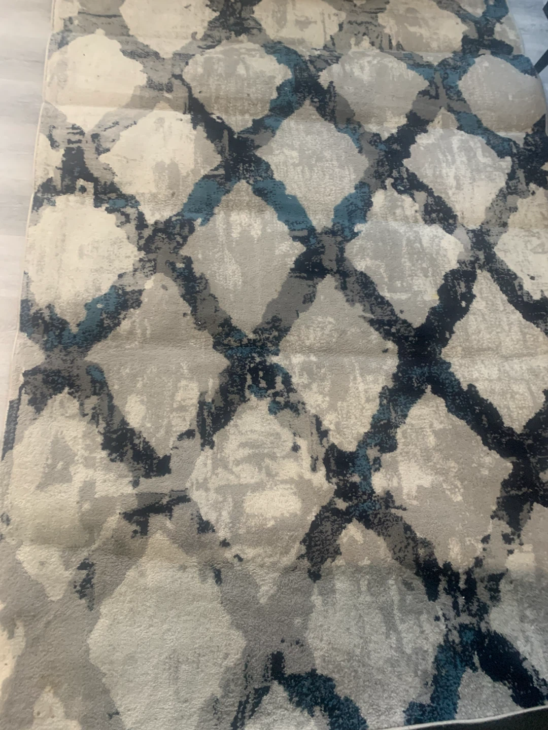 Area Rug - photo 2