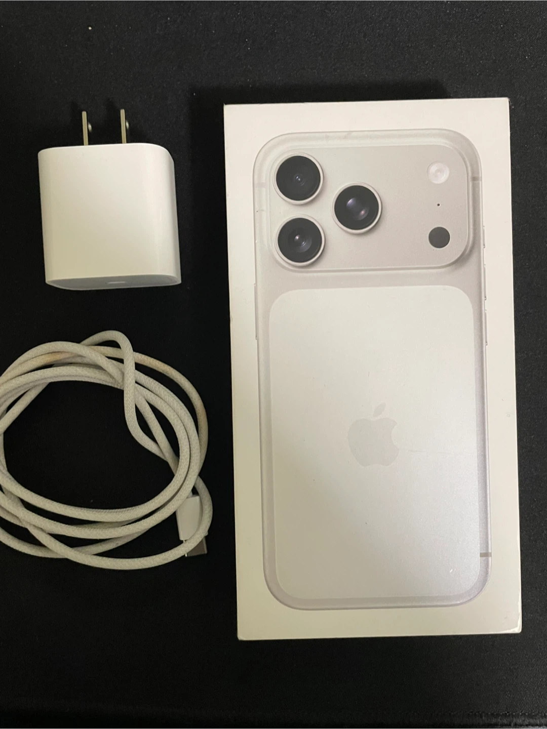 apple iphone 17 pro silver 256gb - photo 2