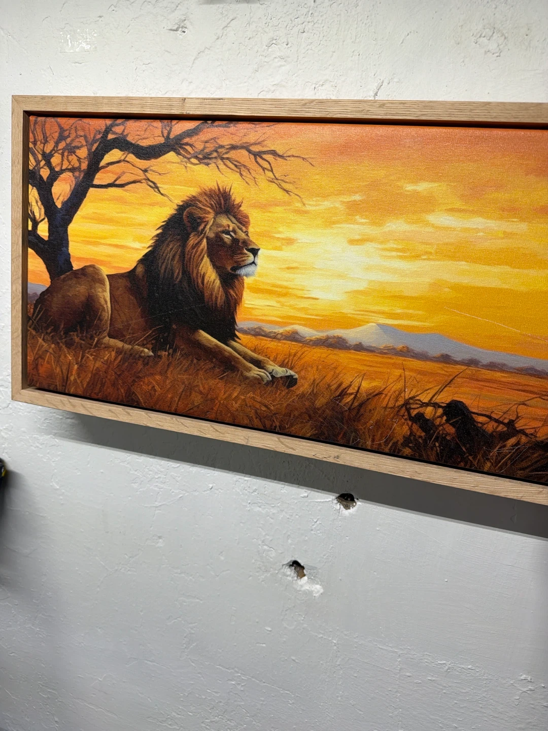 Woloszyk Artworks Lion Canvas Print