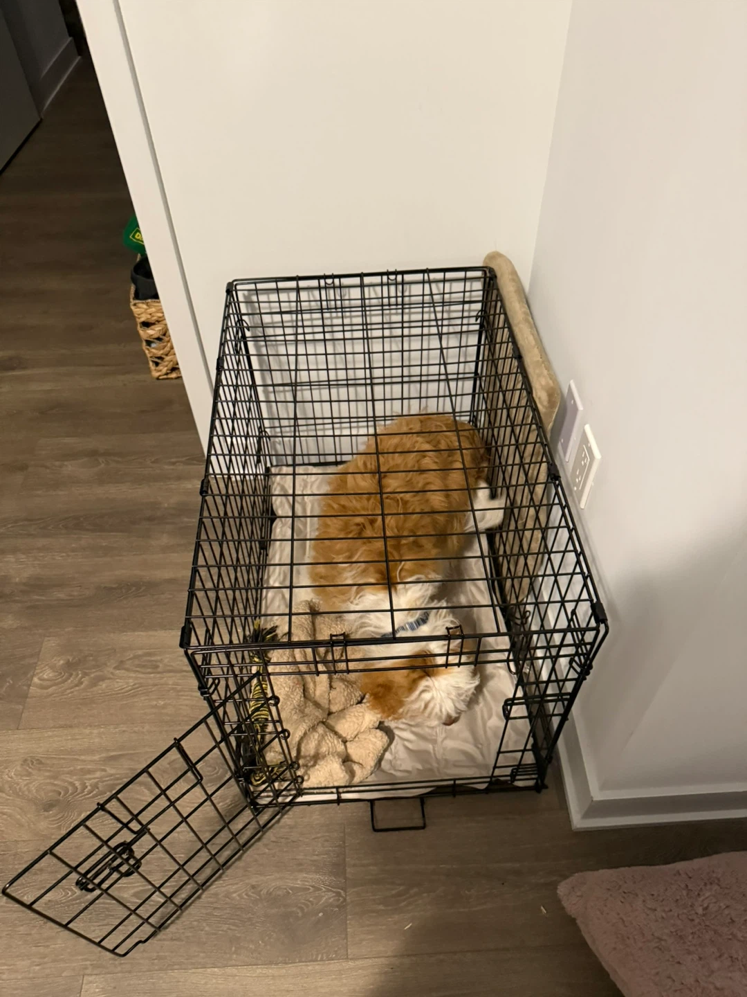 Small Dog Crate Collapsible - photo 2