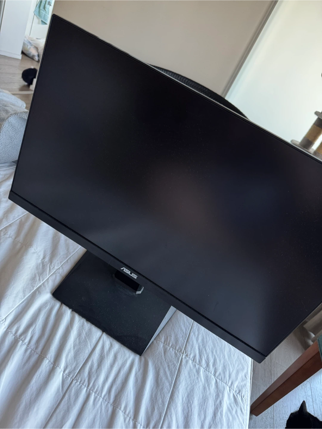 Asus VA24E LCD Monitor
