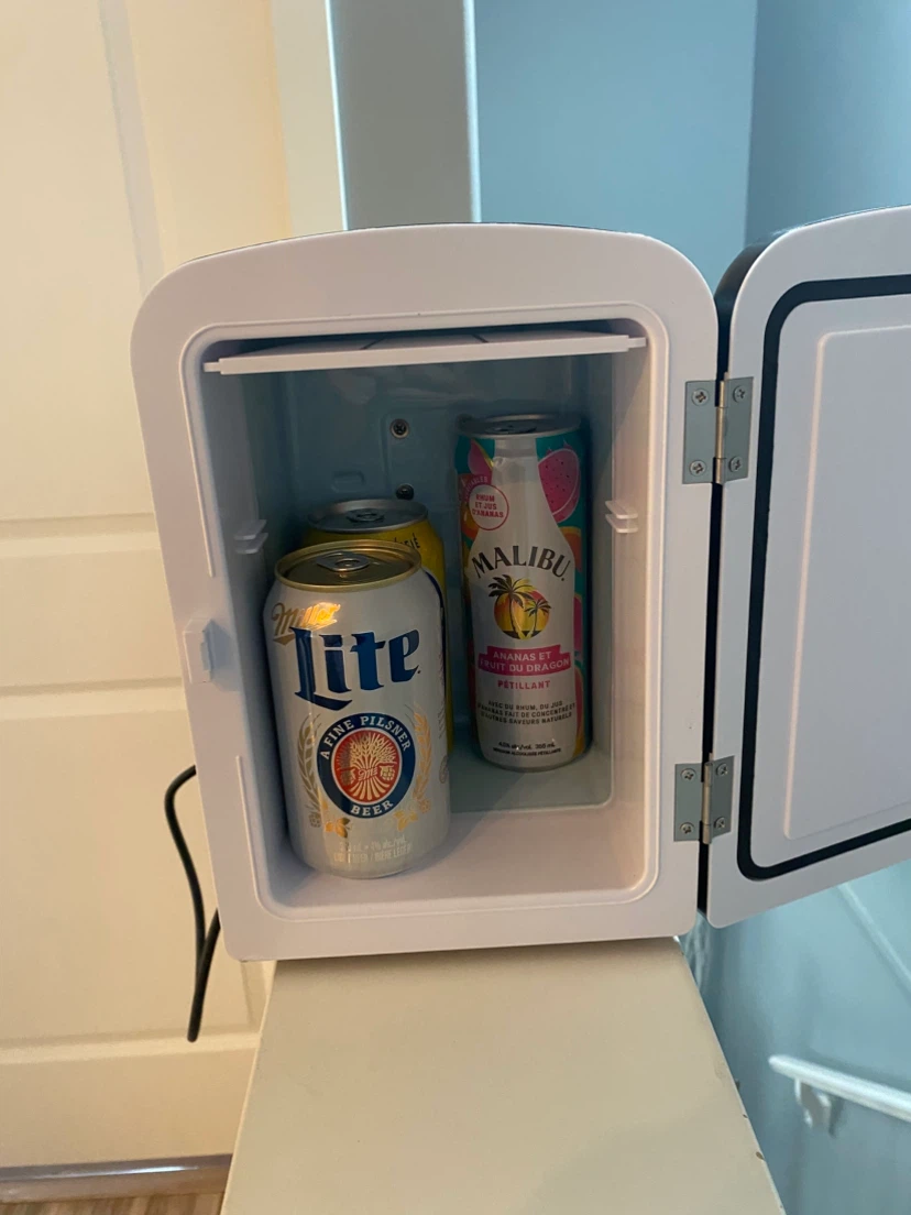 Frigidaire Mini Fridge