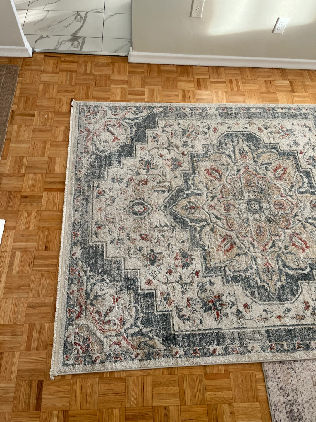 Area Rug 5 x 7 - photo 4