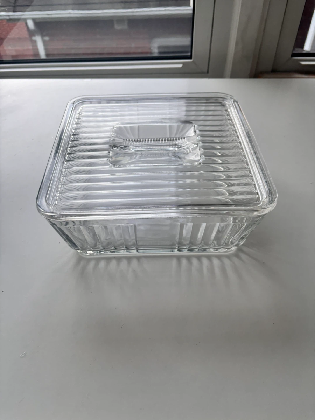 Glass Food Storage Container with Lid