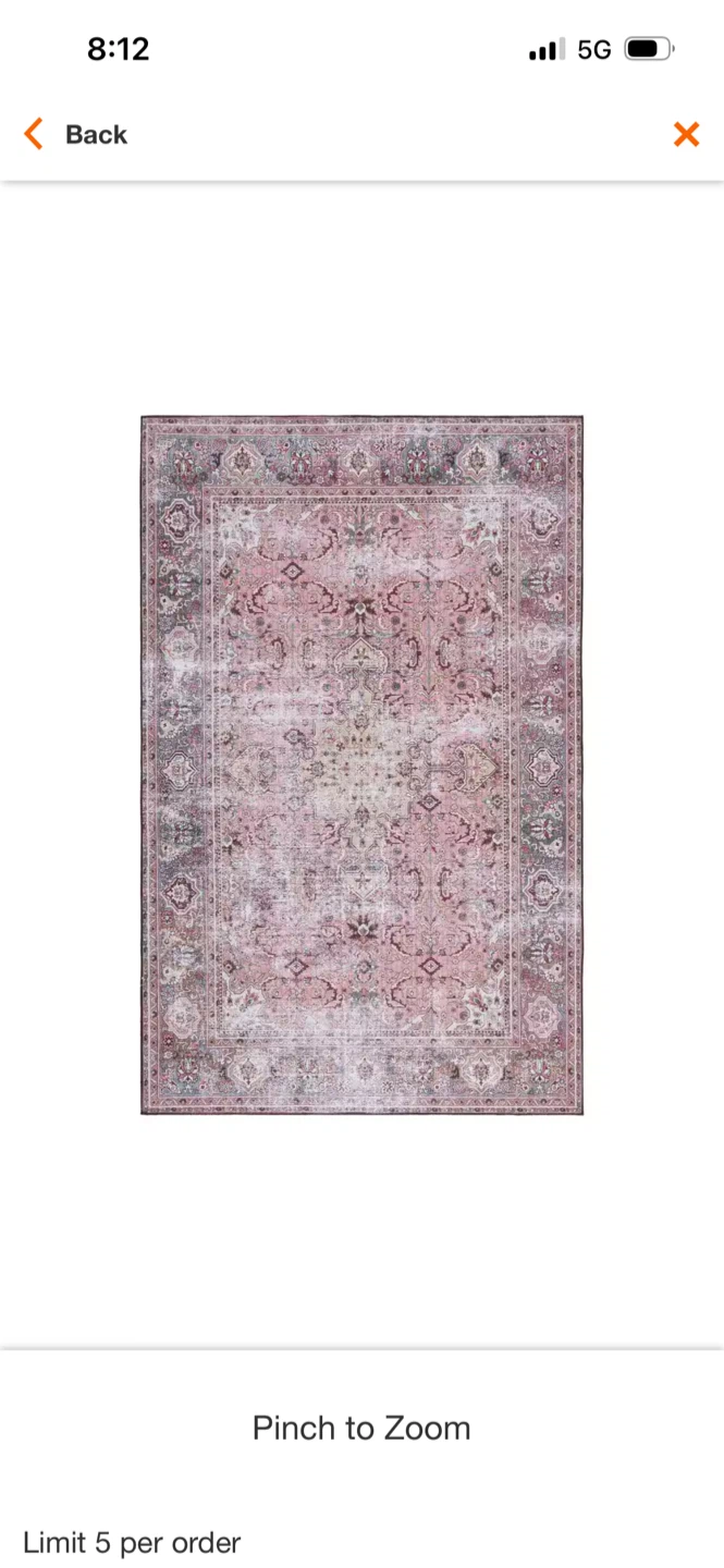 Safavieh Tuscon Pink/Beige Area Rug 8 ft. x 10 ft.