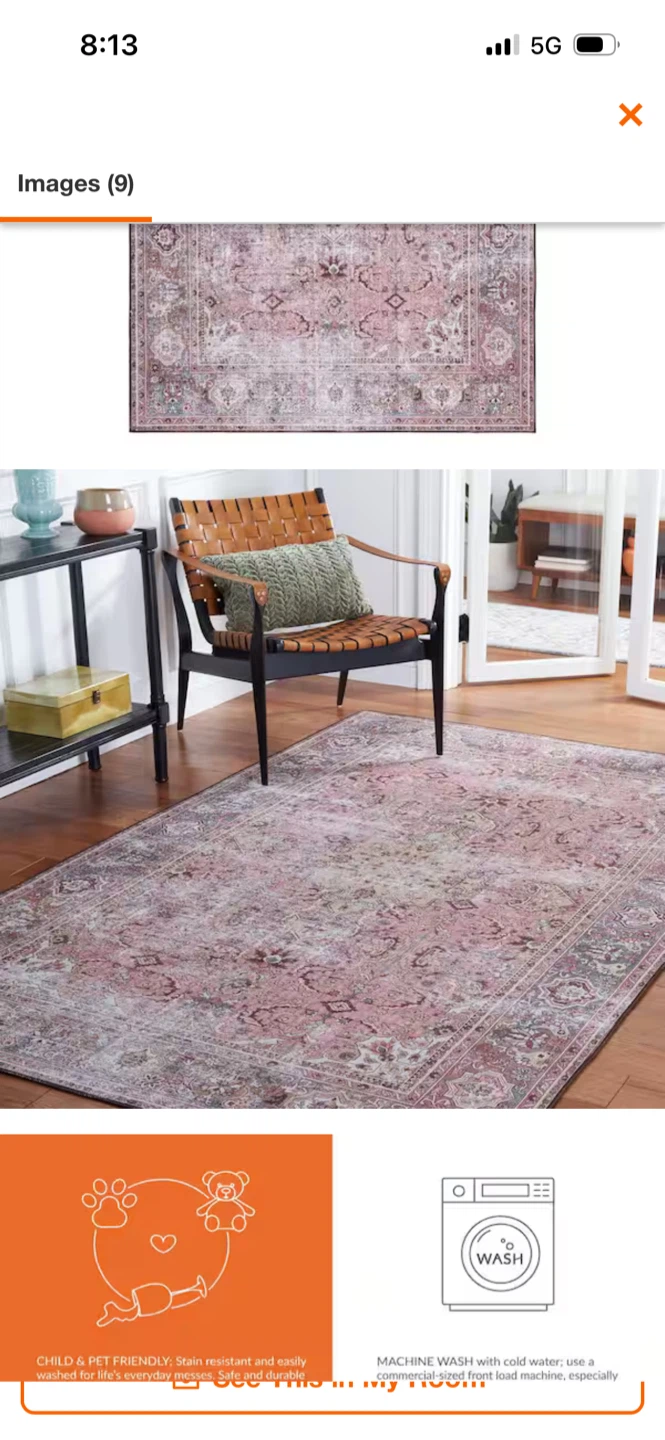 Safavieh Tuscon Pink/Beige Area Rug 8 ft. x 10 ft. - photo 4