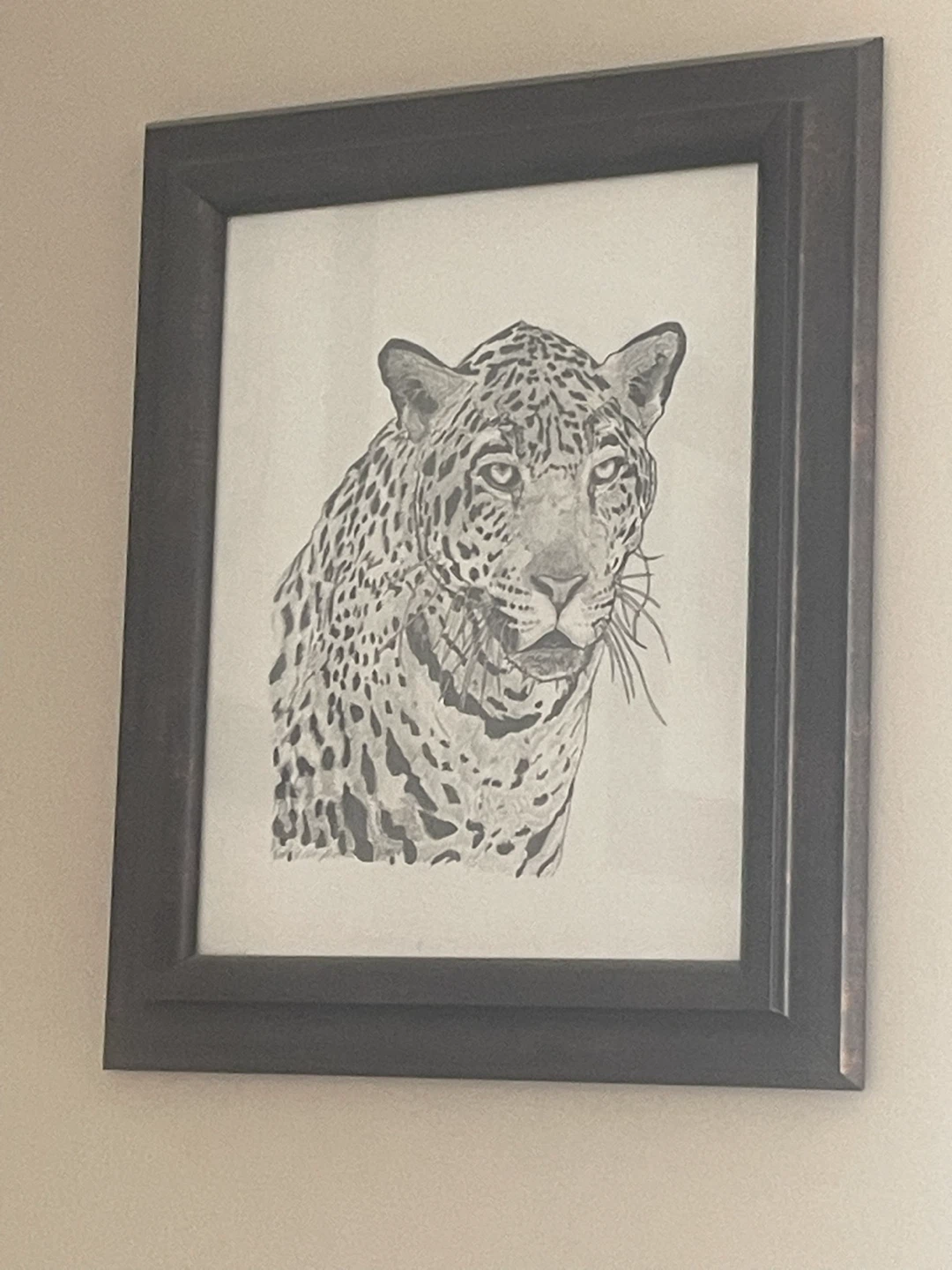 Variety of Drawings - photo 3