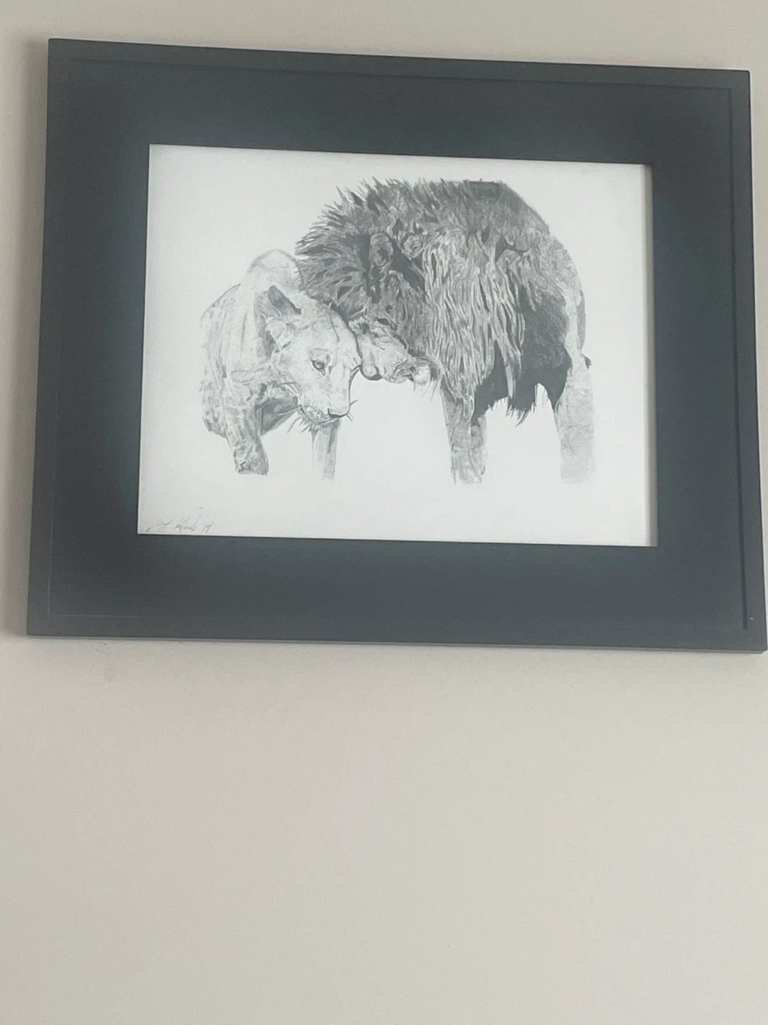 Variety of Drawings - photo 4