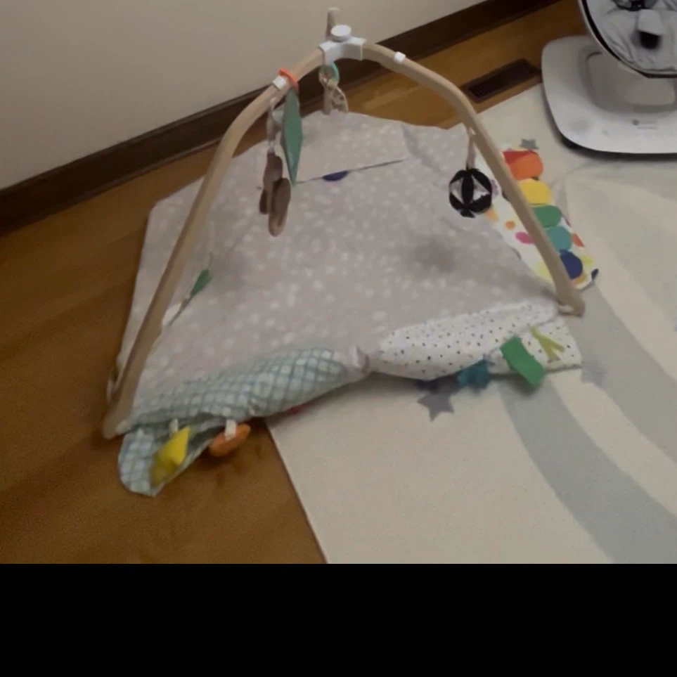 Baby Play Gym with Toys(lovevery)