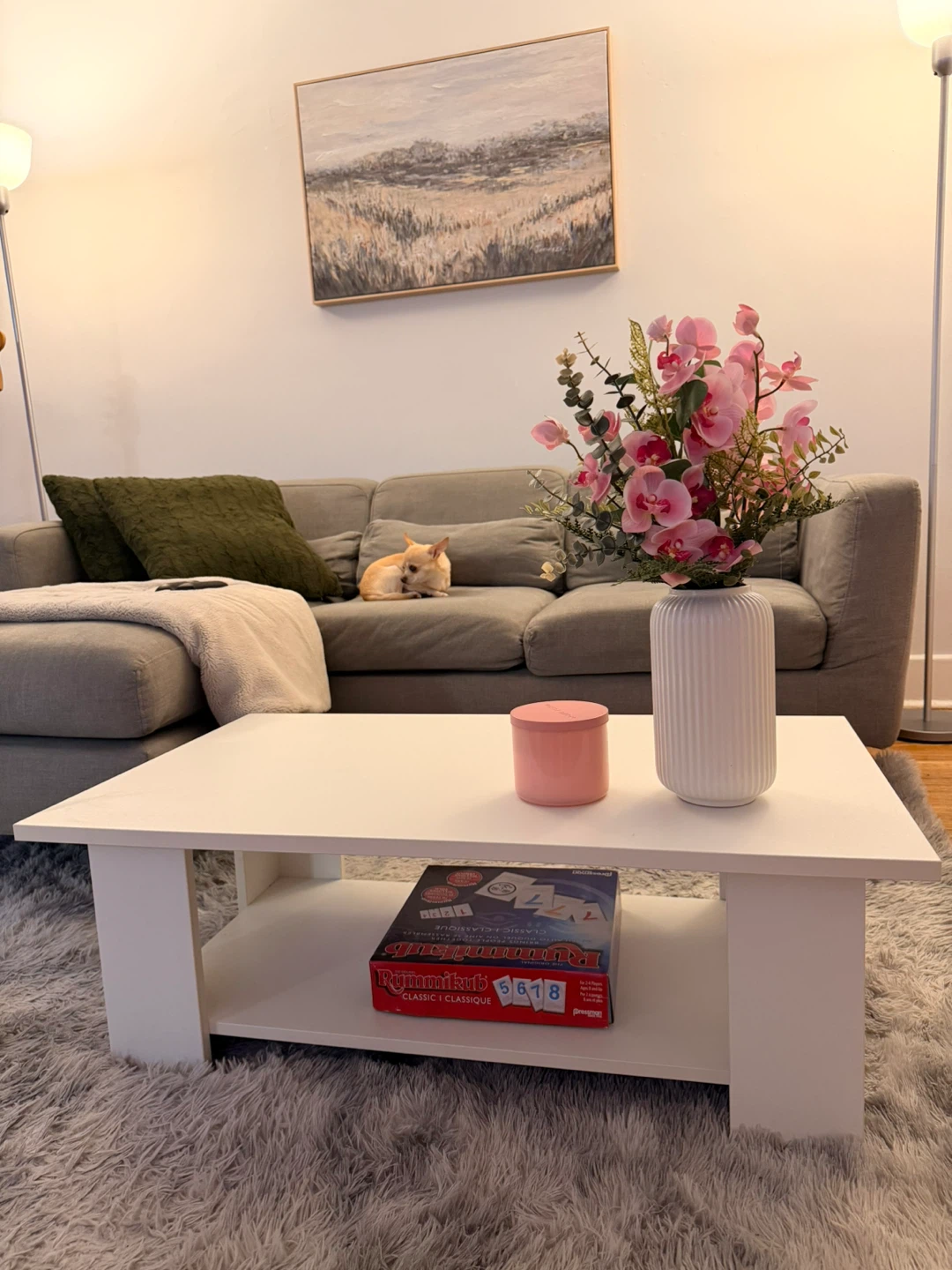 White Coffee Table with Shelf