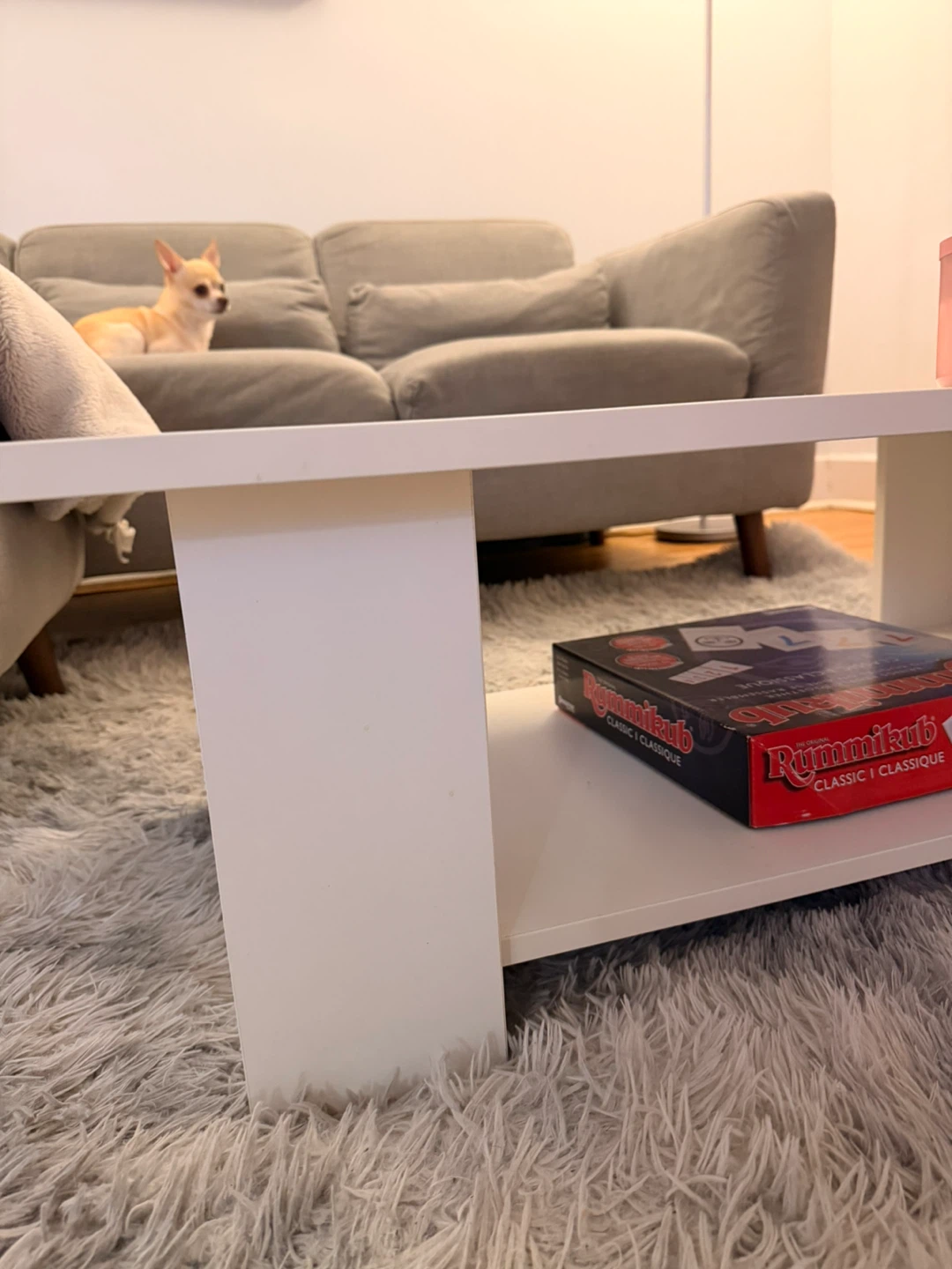 White Coffee Table with Shelf - photo 4