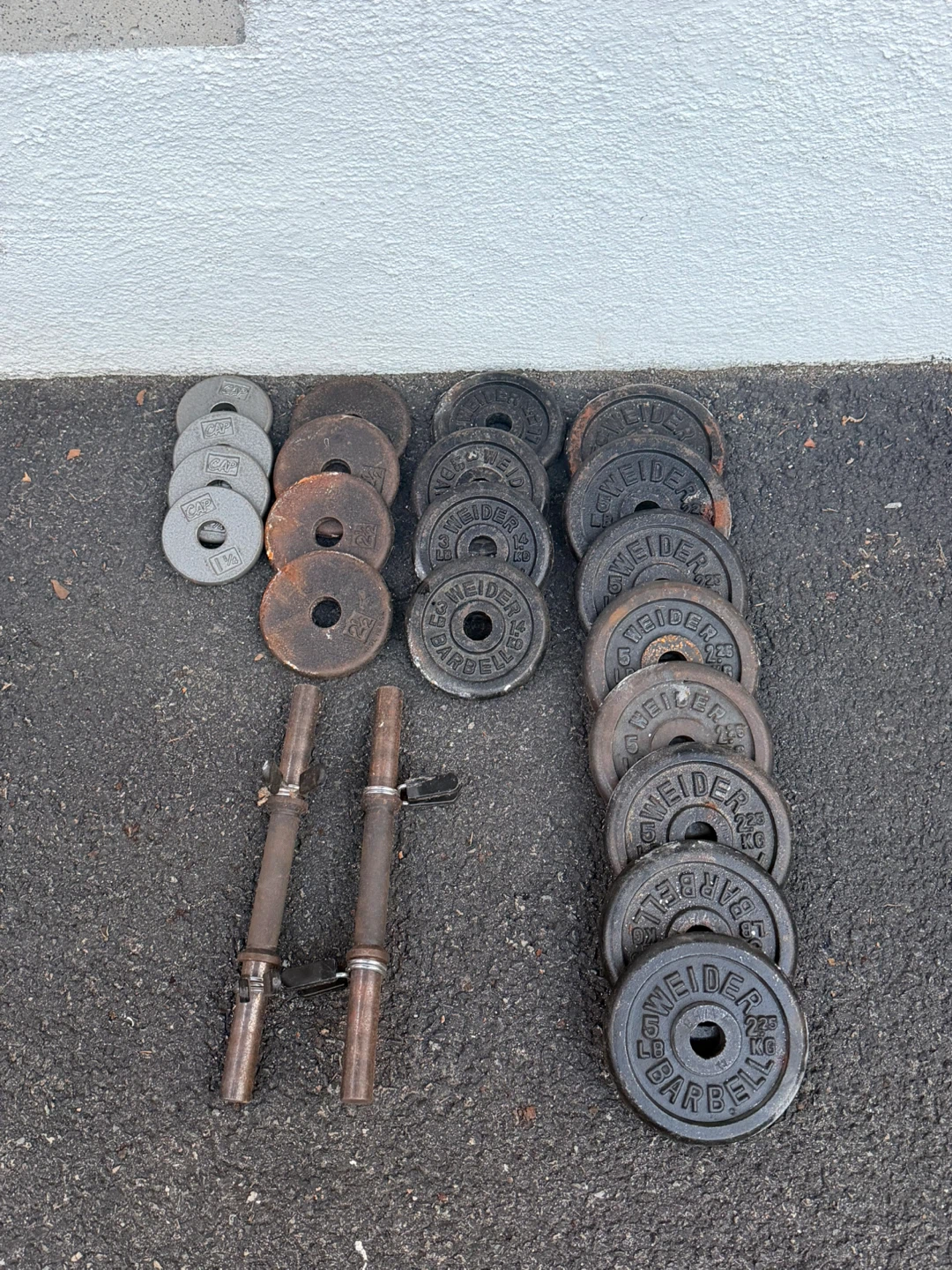 Weider & CAP Weight Plates Set with Dumbbell Bars