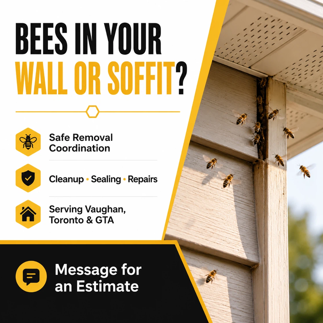 Bee Removal & Repair Services for Walls and Soffits