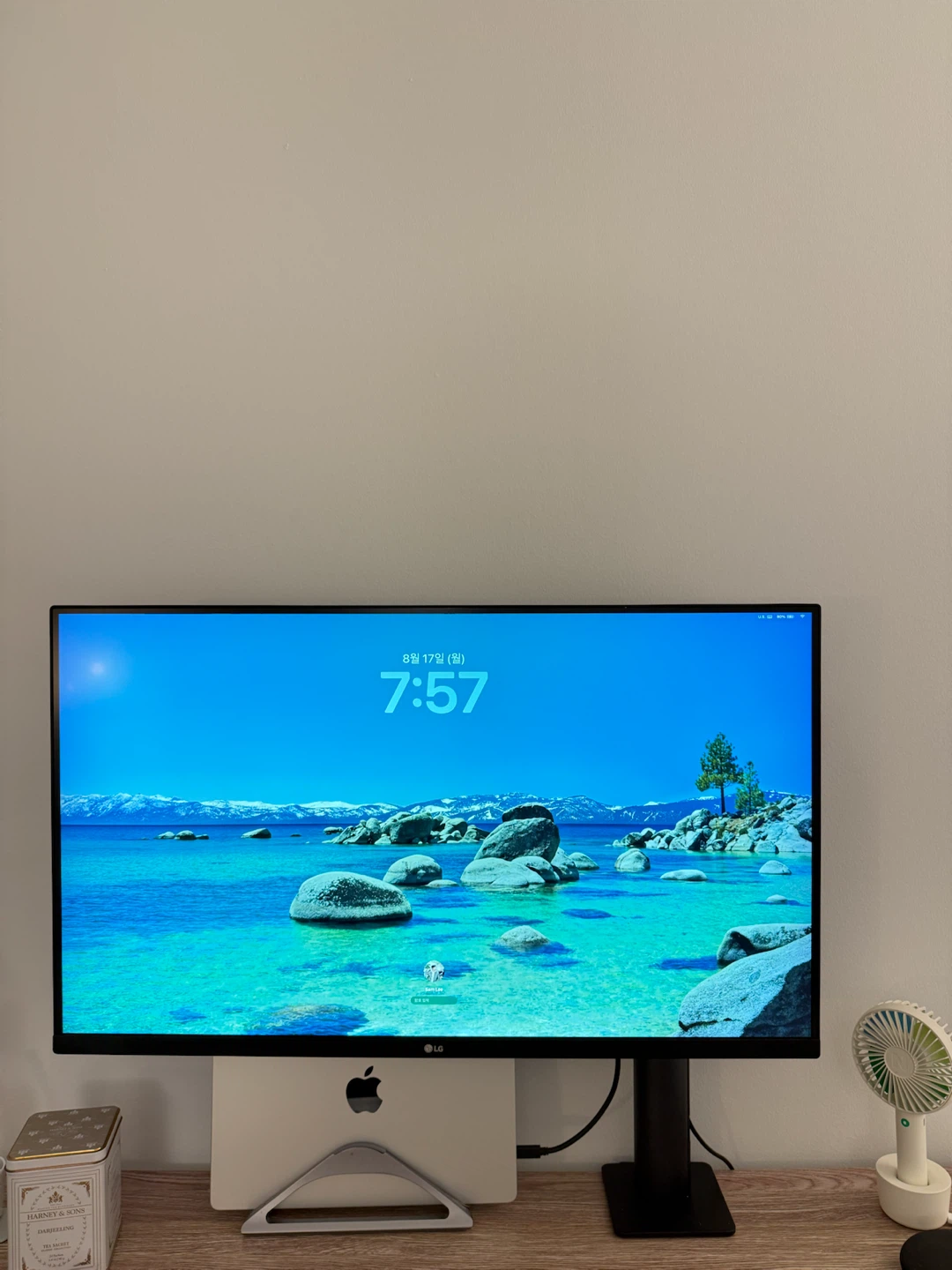 LG UltraFine Display Ergo Monitor 32UN880