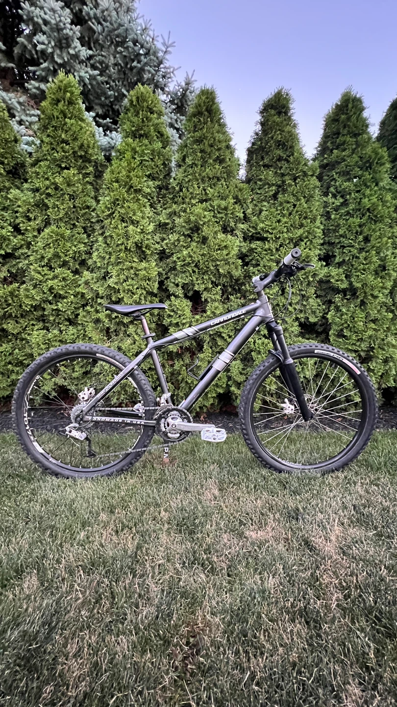Cannondale Dual Assault medium