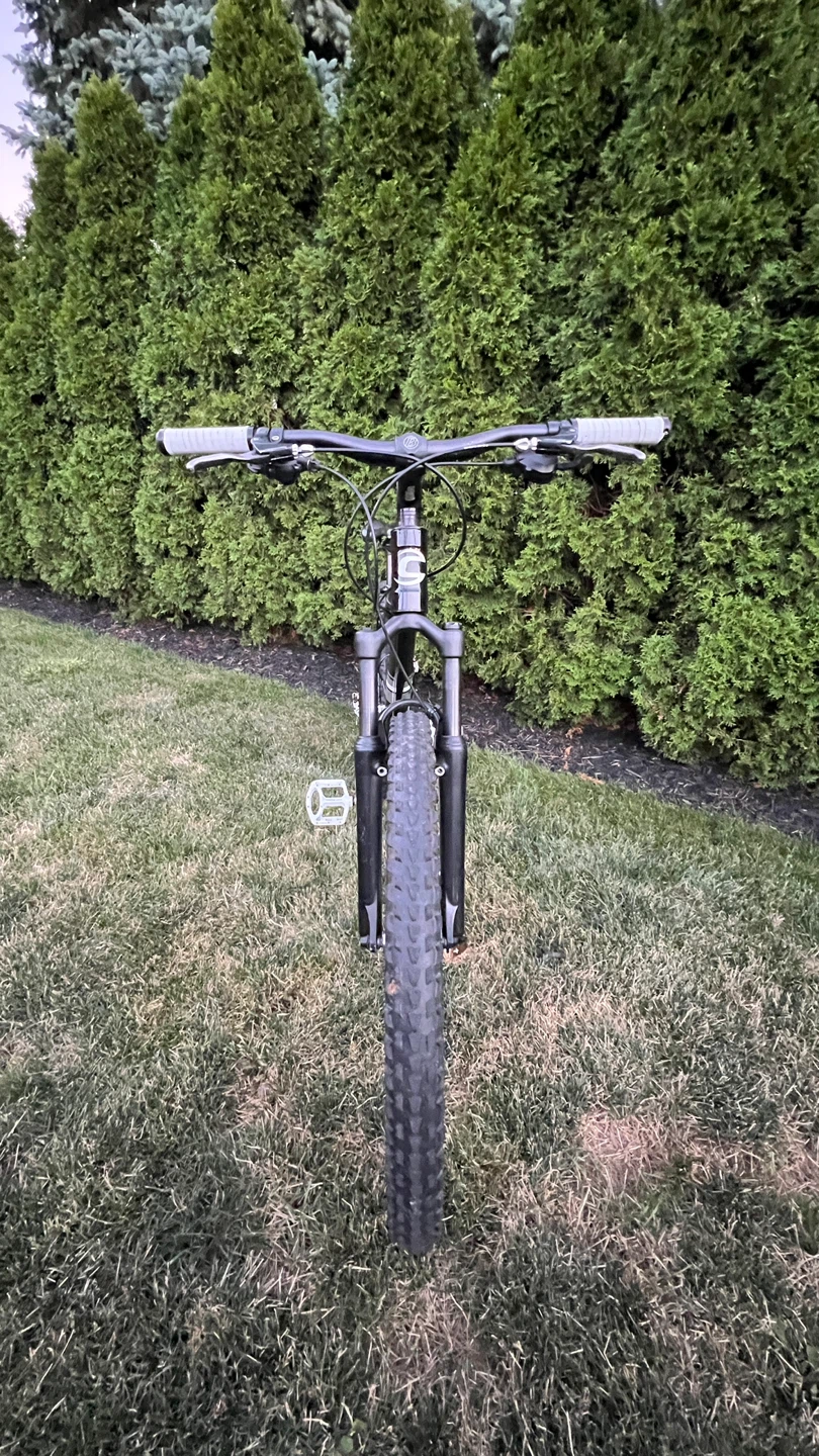 Cannondale Dual Assault medium - photo 3