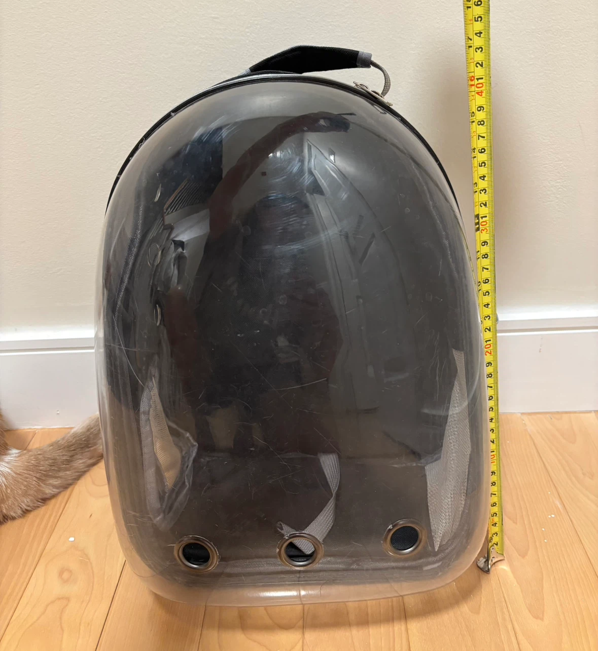 Pet Backpack