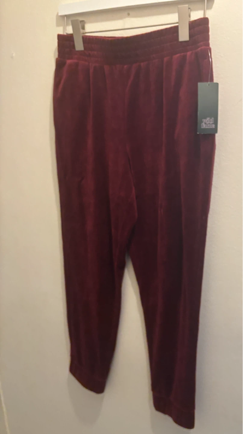 NEW-Wild Fable Velour Joggers Size S