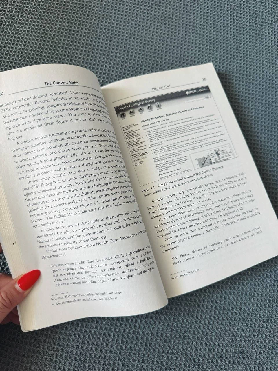 Content Rules” Book – Ann Handley & C.C. Chapman - photo 3