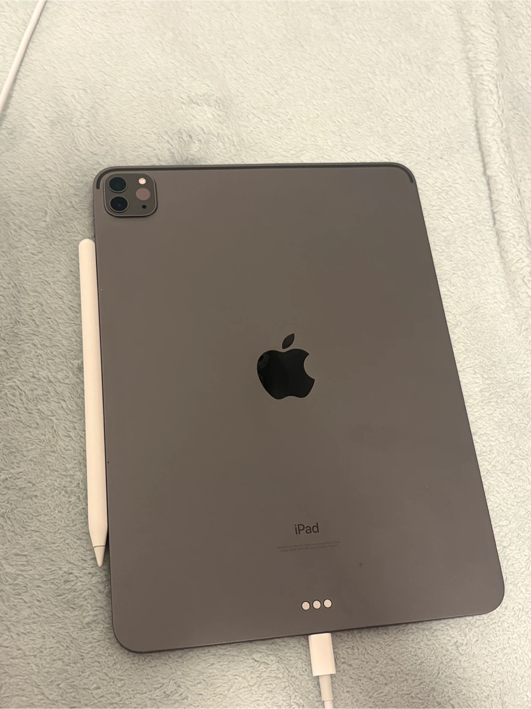 Apple iPad Pro 11 2nd Gen 256G with Apple Pencil - photo 2
