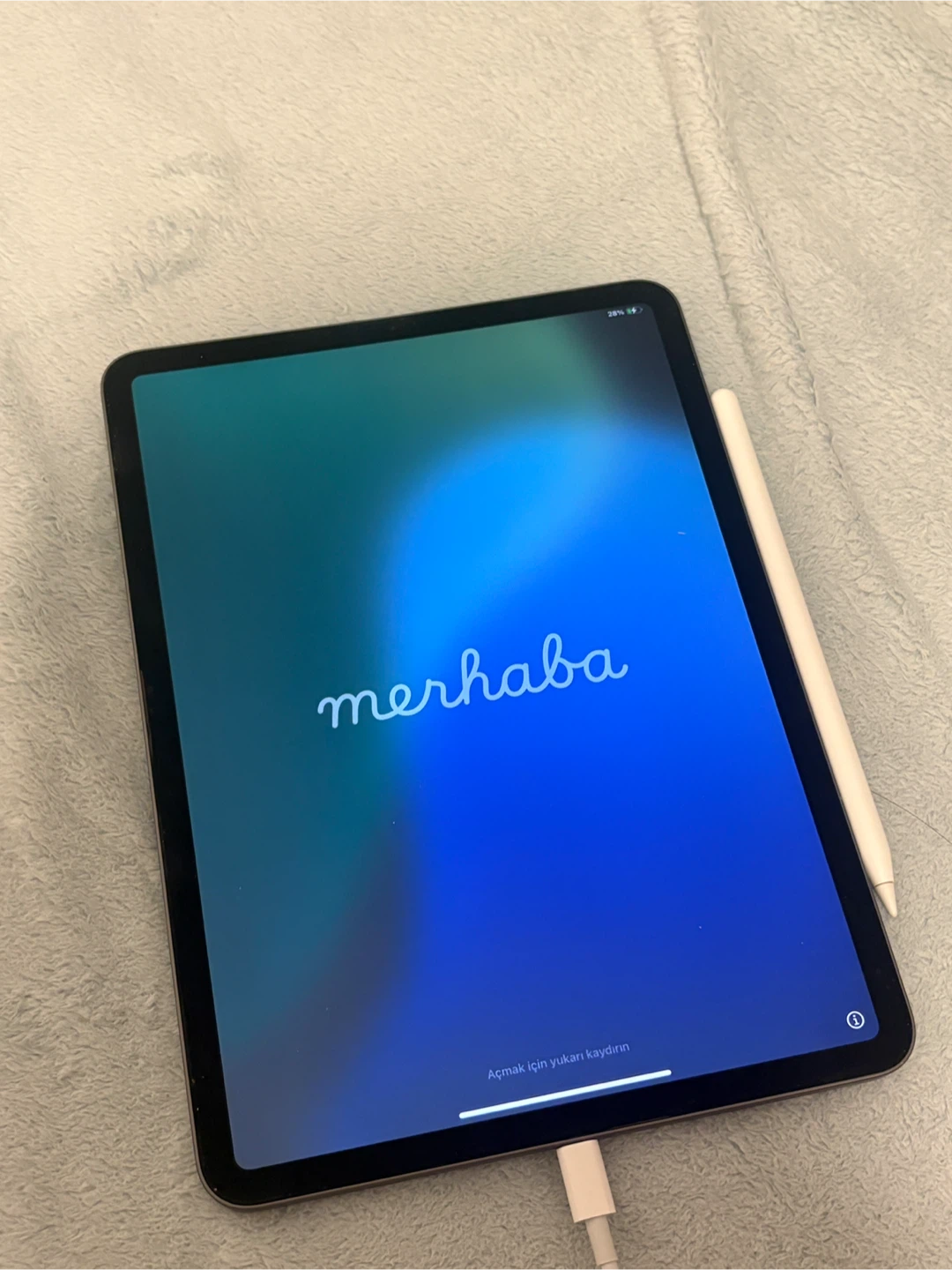 Apple iPad Pro 11 2nd Gen 256G with Apple Pencil - photo 3