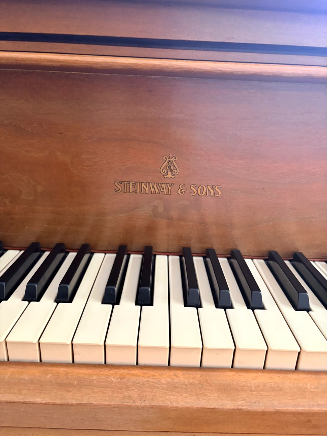 Steinway & Sons Grand Piano - photo 5