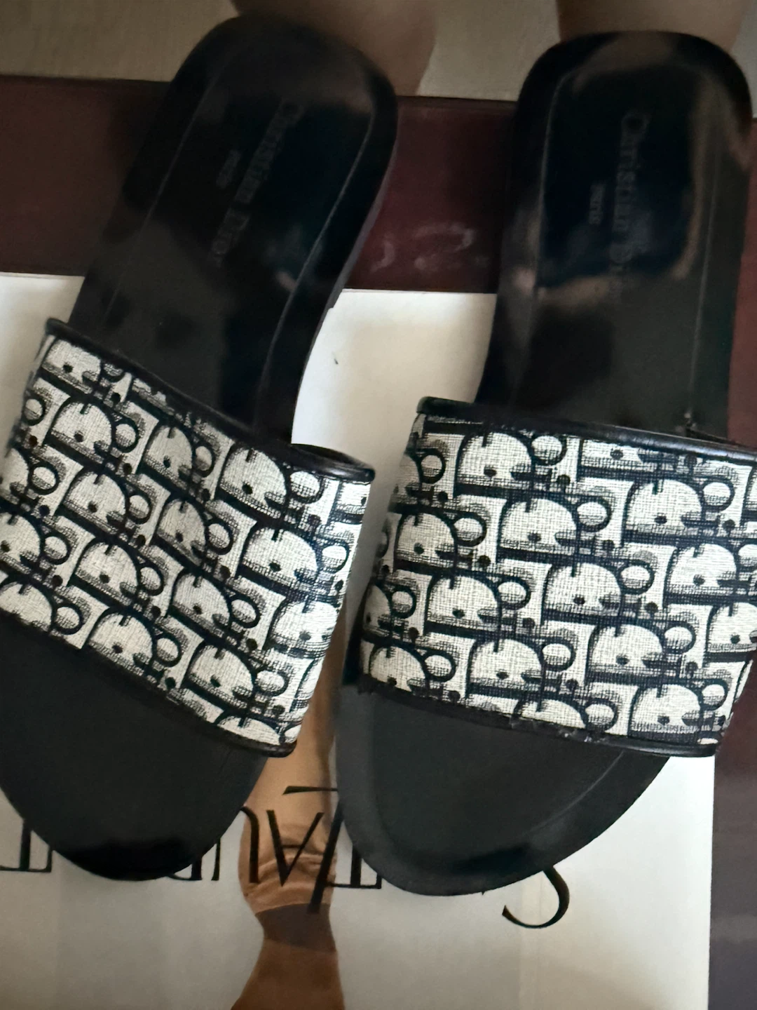 Christian Dior D-Connect Slides