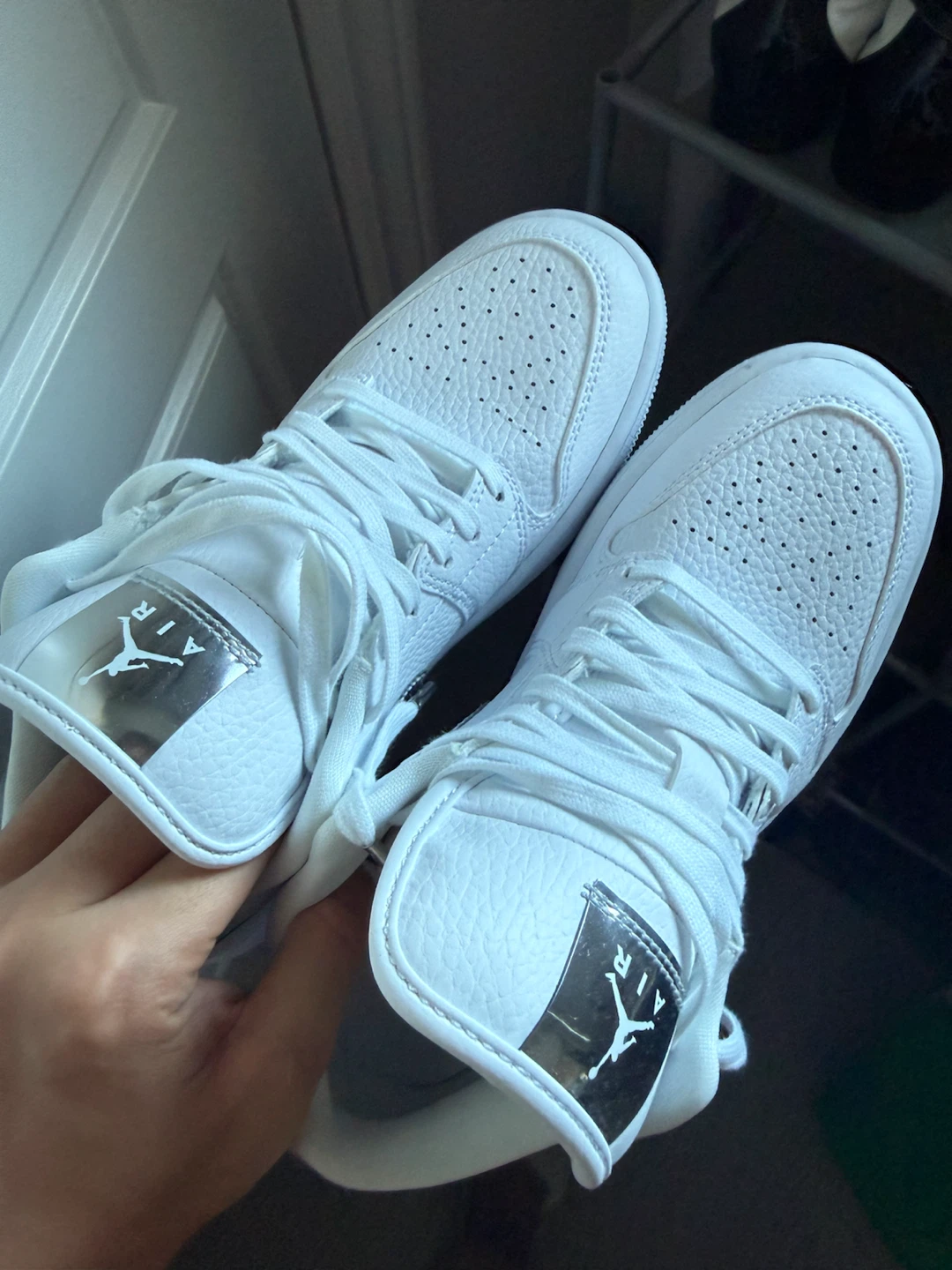 Air Jordan 1 Low se