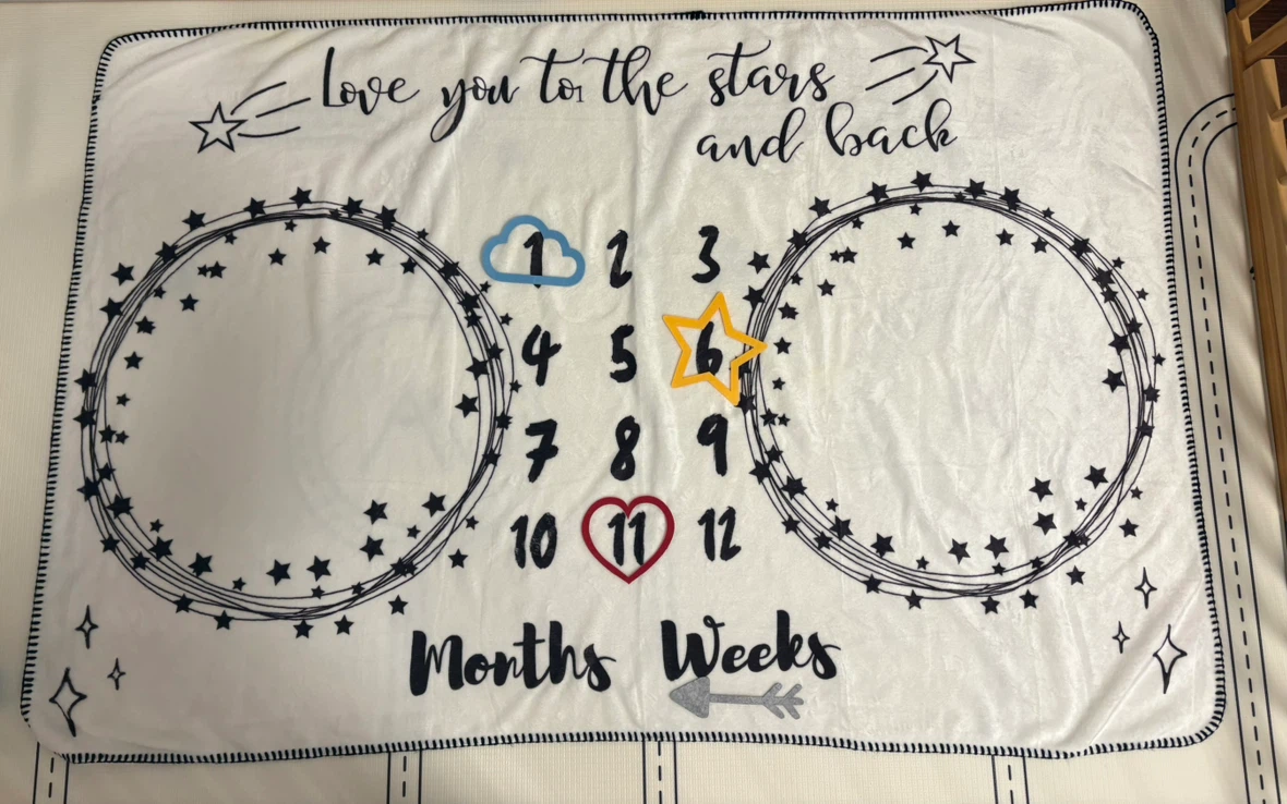 Baby Milestone Blanket for twins