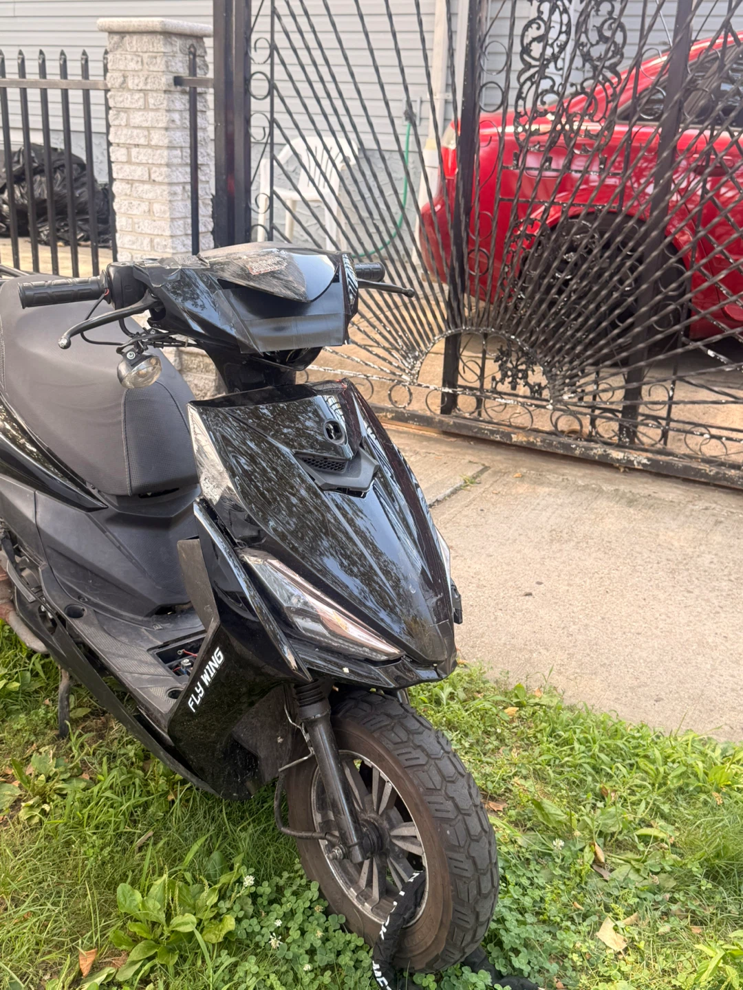 Black Fly Wing Scooter