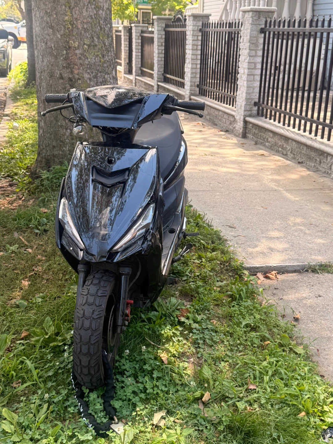 Black Fly Wing Scooter - photo 2