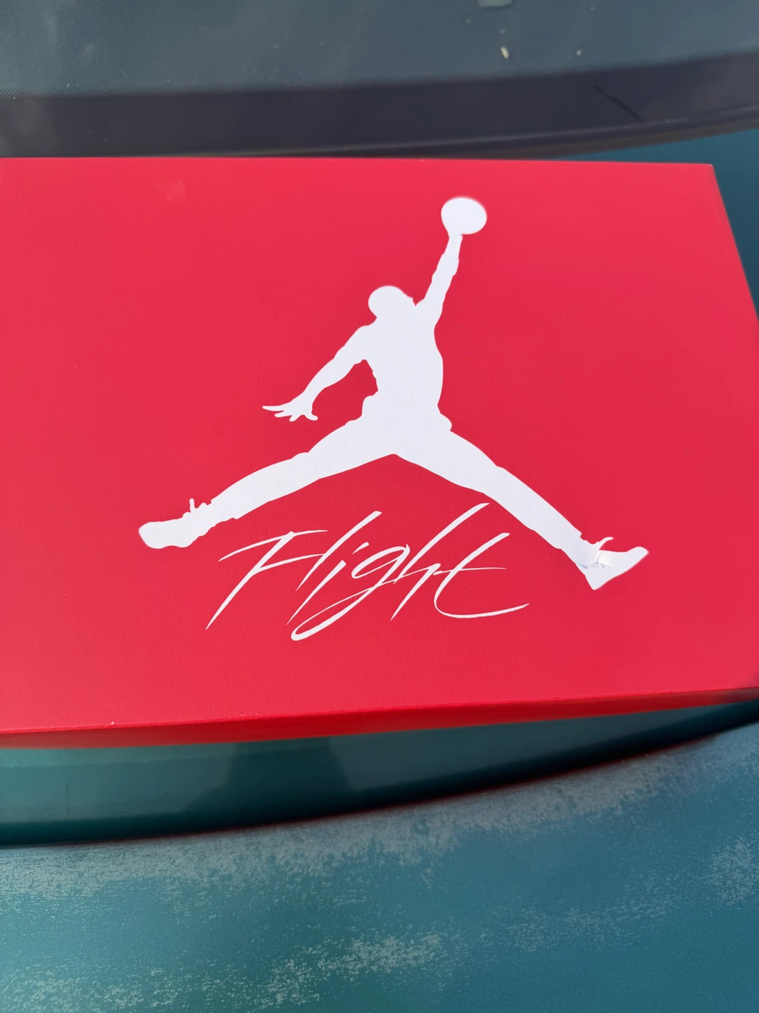 Valentine’s Day Jordan 4s - photo 4