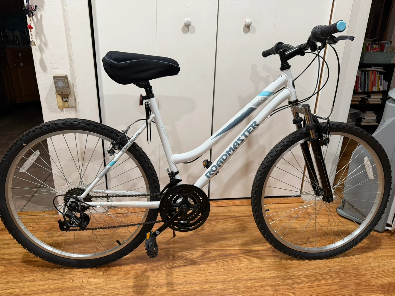 Roadmaster Mountain Bike