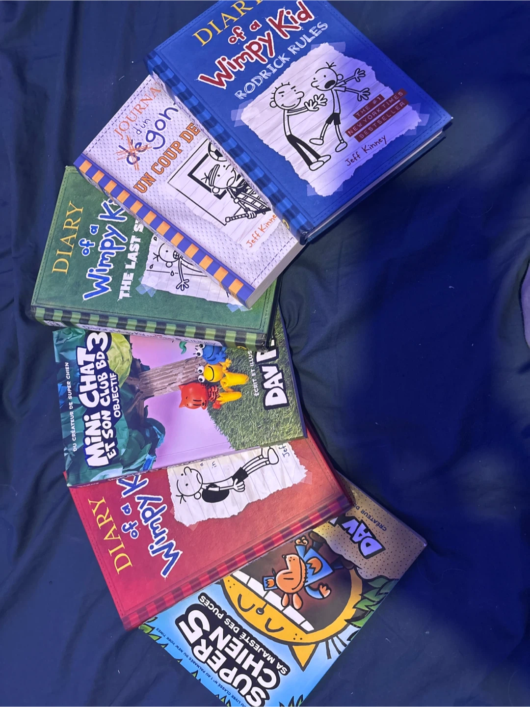 French and English books