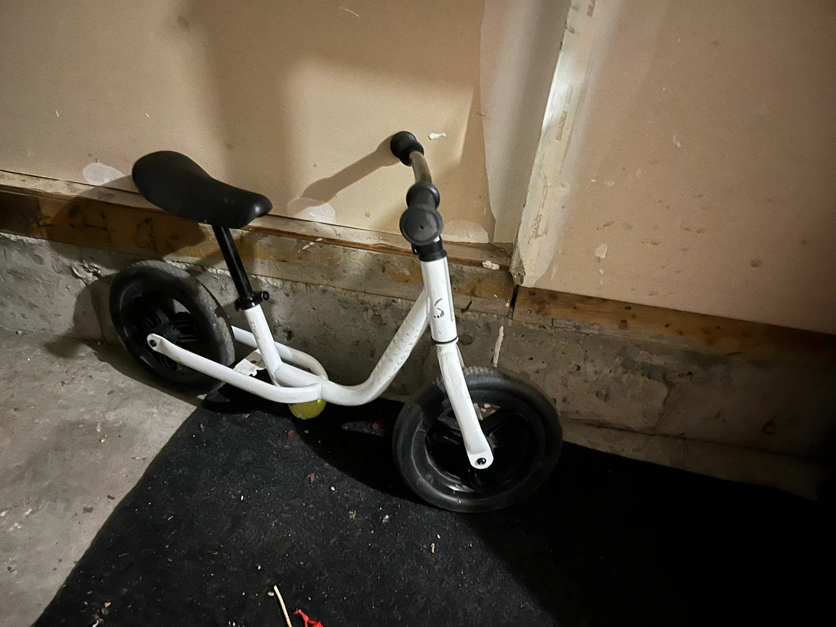2 White Balance Bike - photo 3