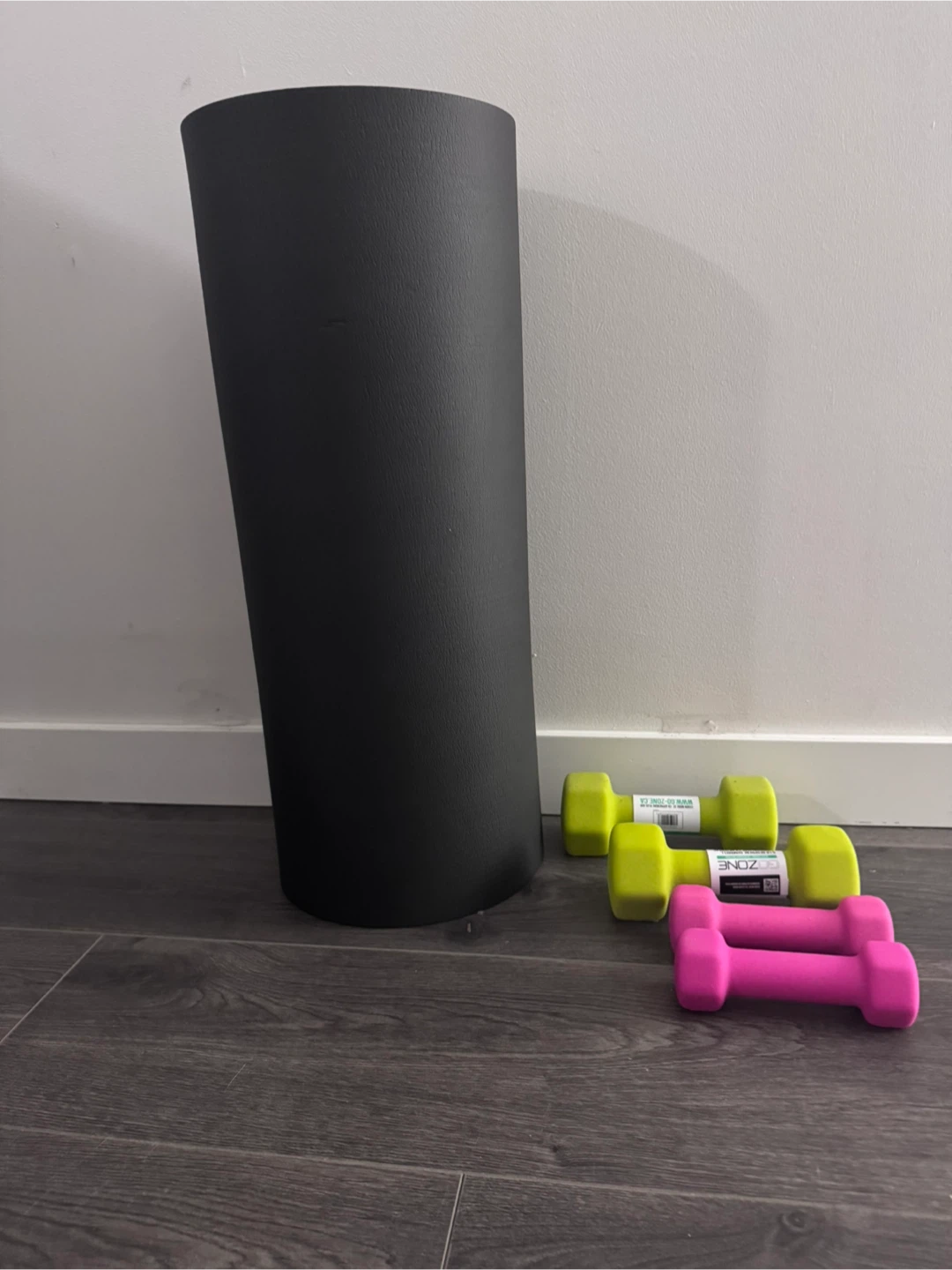 GoZone Dumbbells and Yoga Mat