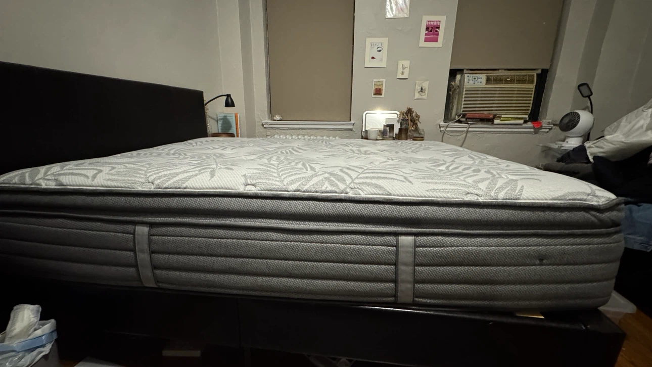 Sealy Full Pillow-Top Mattress (Mfg Feb 2025) - photo 3