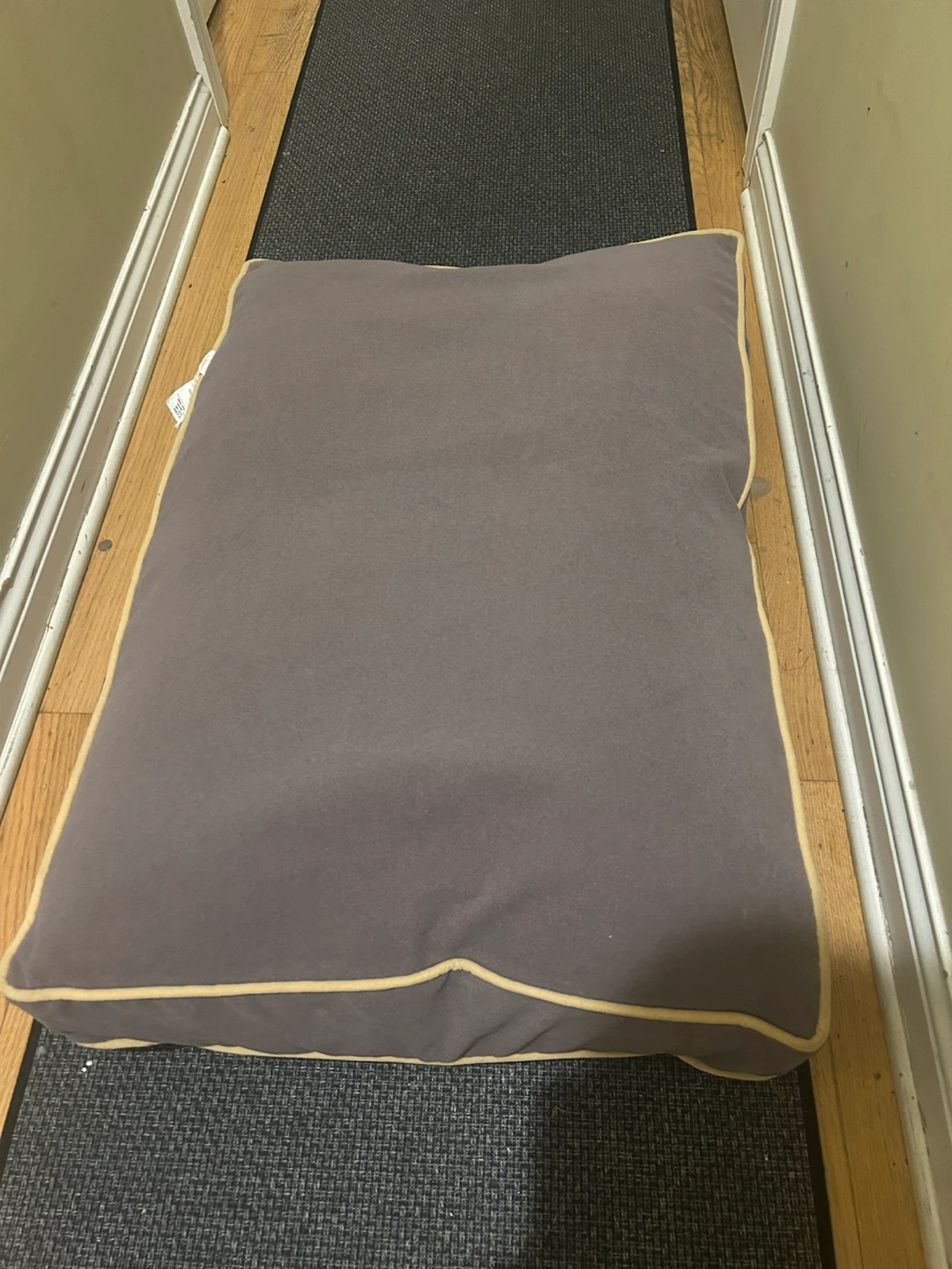 Gray Dog Bed with Tan Trim