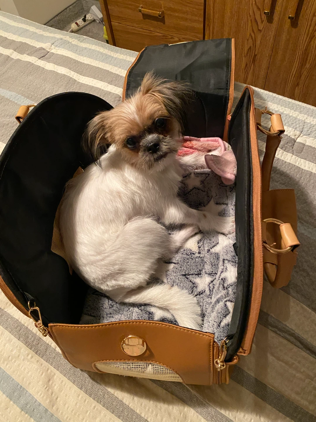 Pet Carrier - photo 5