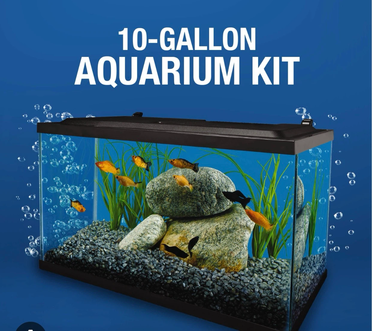 A 10 Gallon Aquarium with all the Accessories