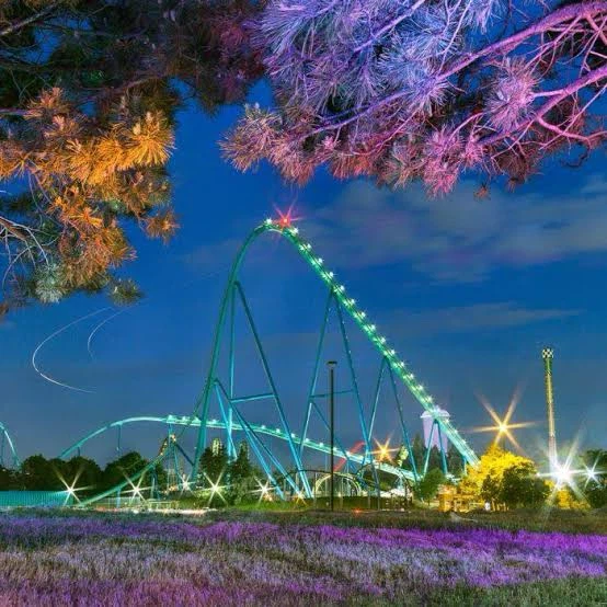 Wonderland tickets