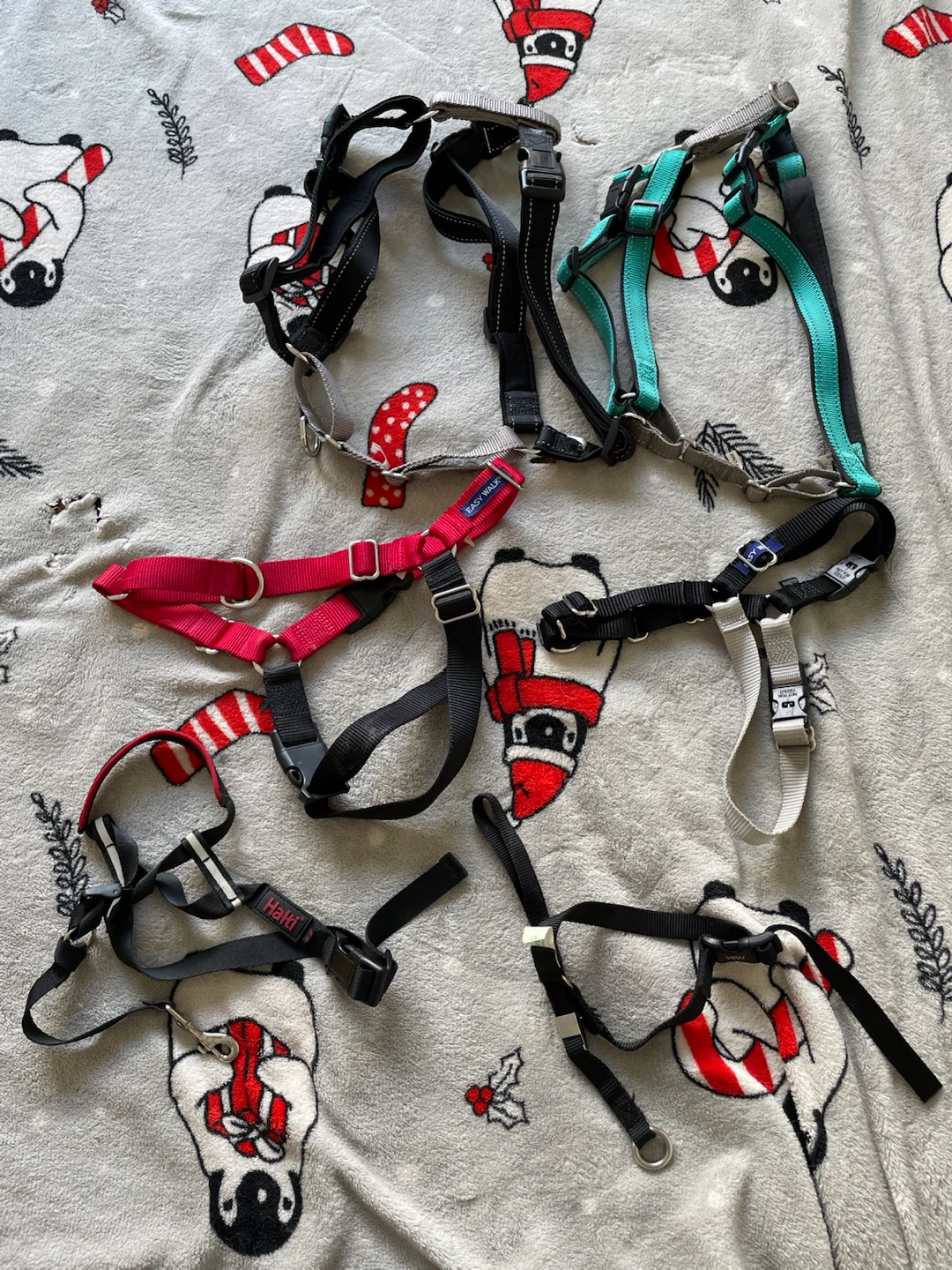 Medium-Large Dog Training Harnesses & Haltis Lot