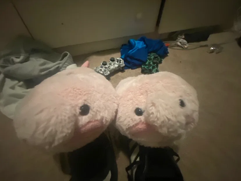 Blobfish slippers - photo 2