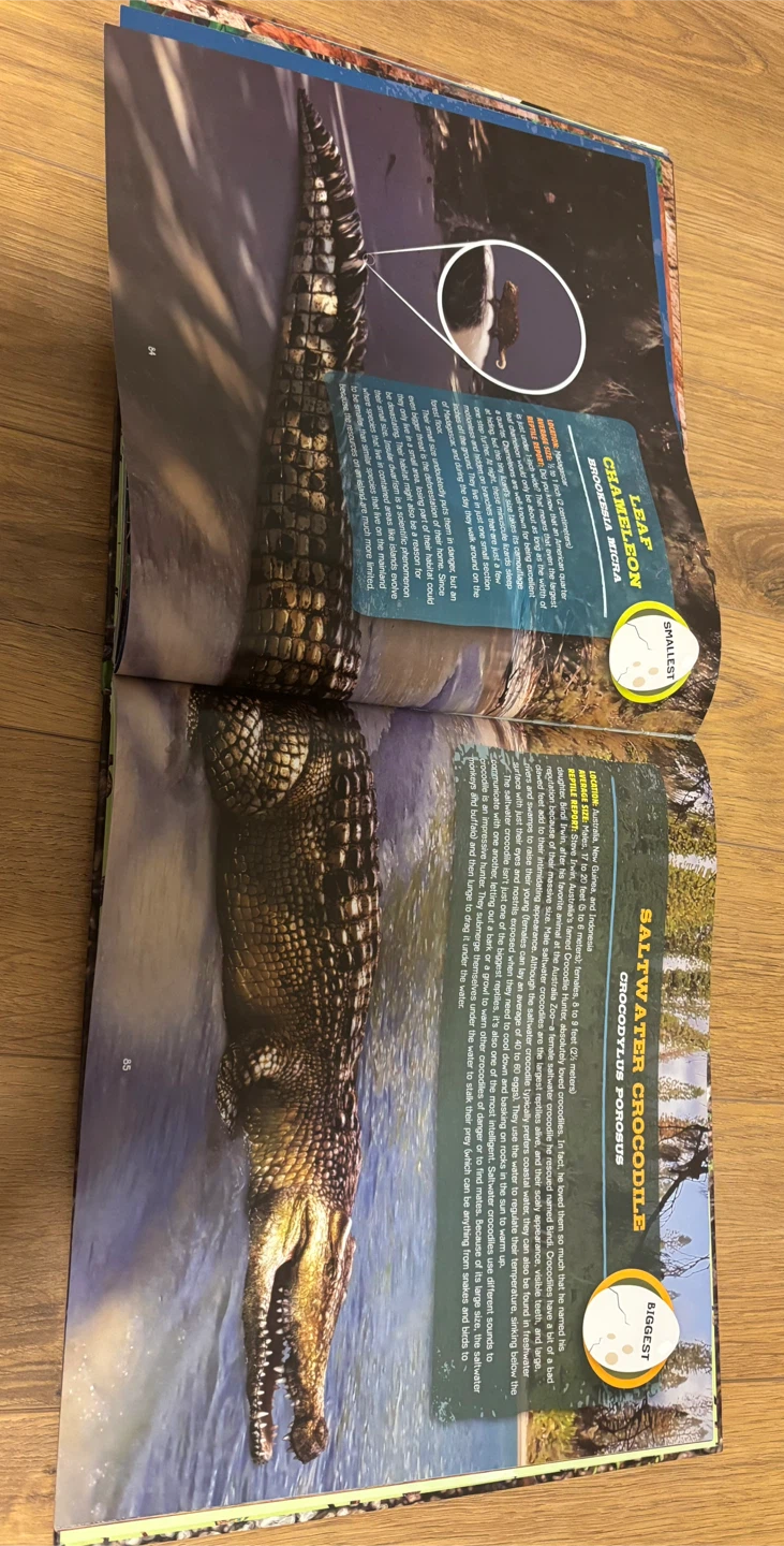 Discovering Reptiles Illustrated Book by Julius Csotonyi - photo 4