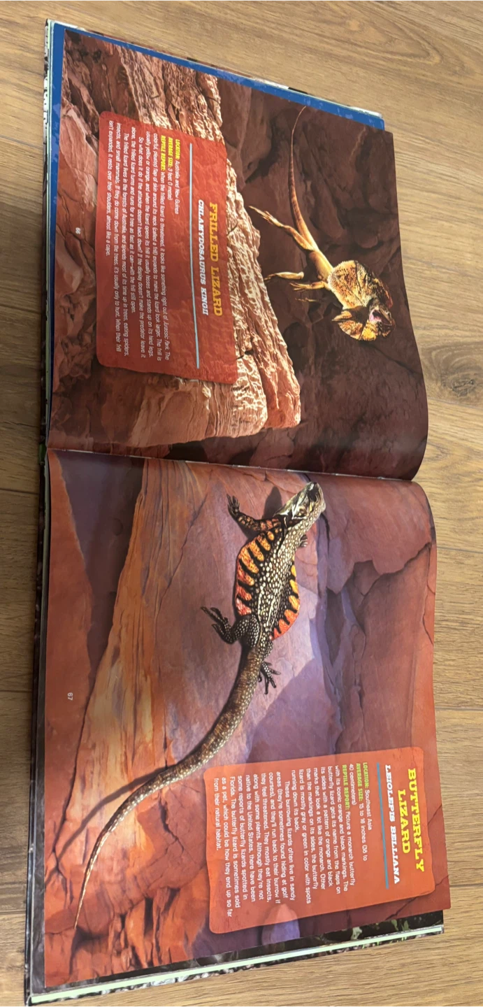 Discovering Reptiles Illustrated Book by Julius Csotonyi - photo 5