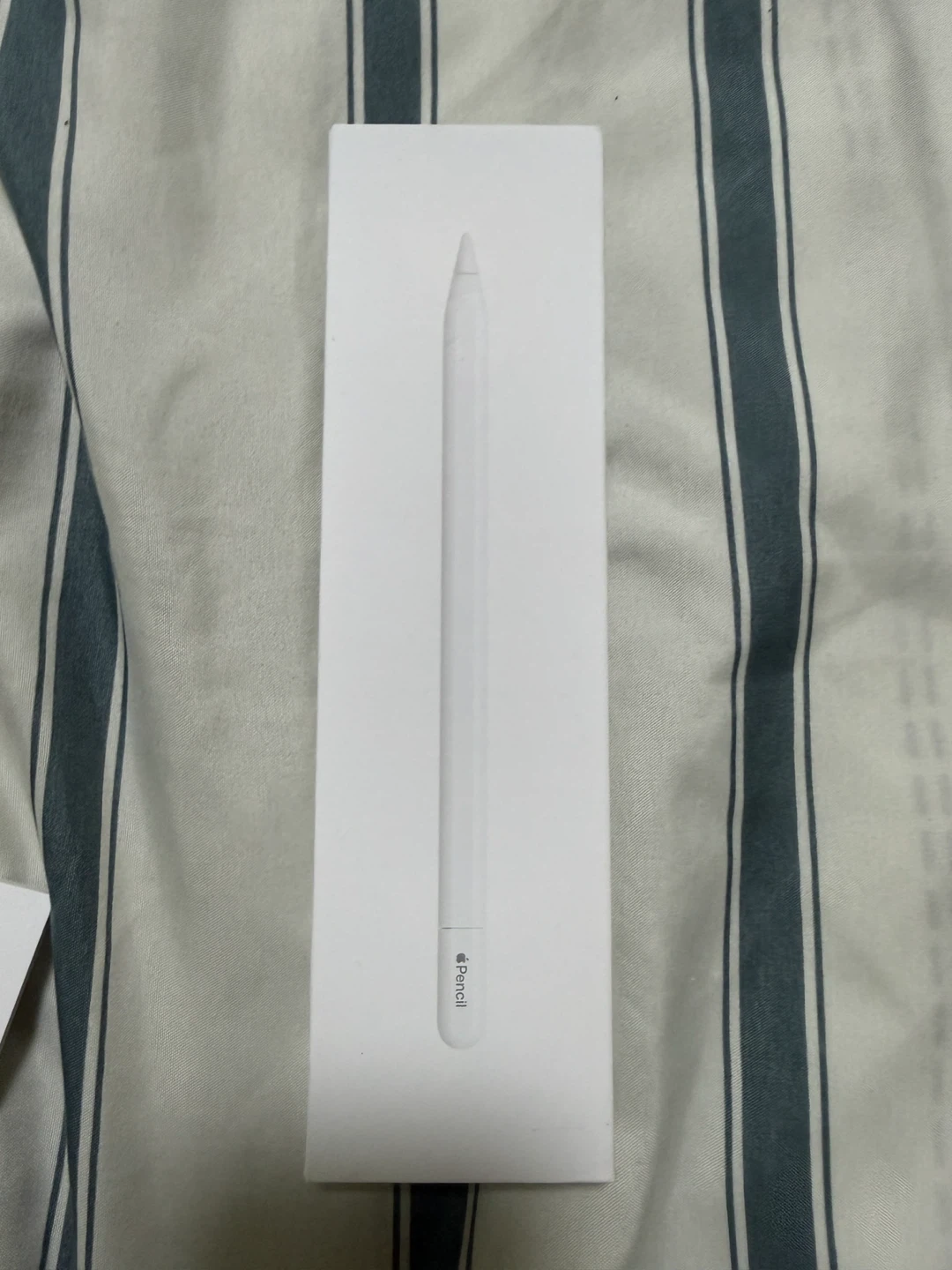 Apple Pencil (USB-C)