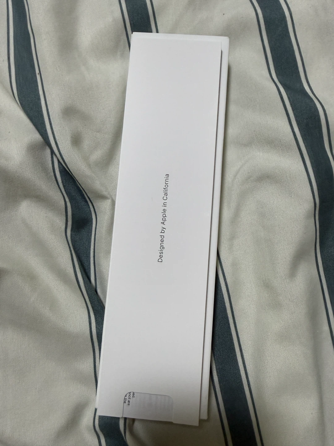 Apple Pencil (USB-C) - photo 2