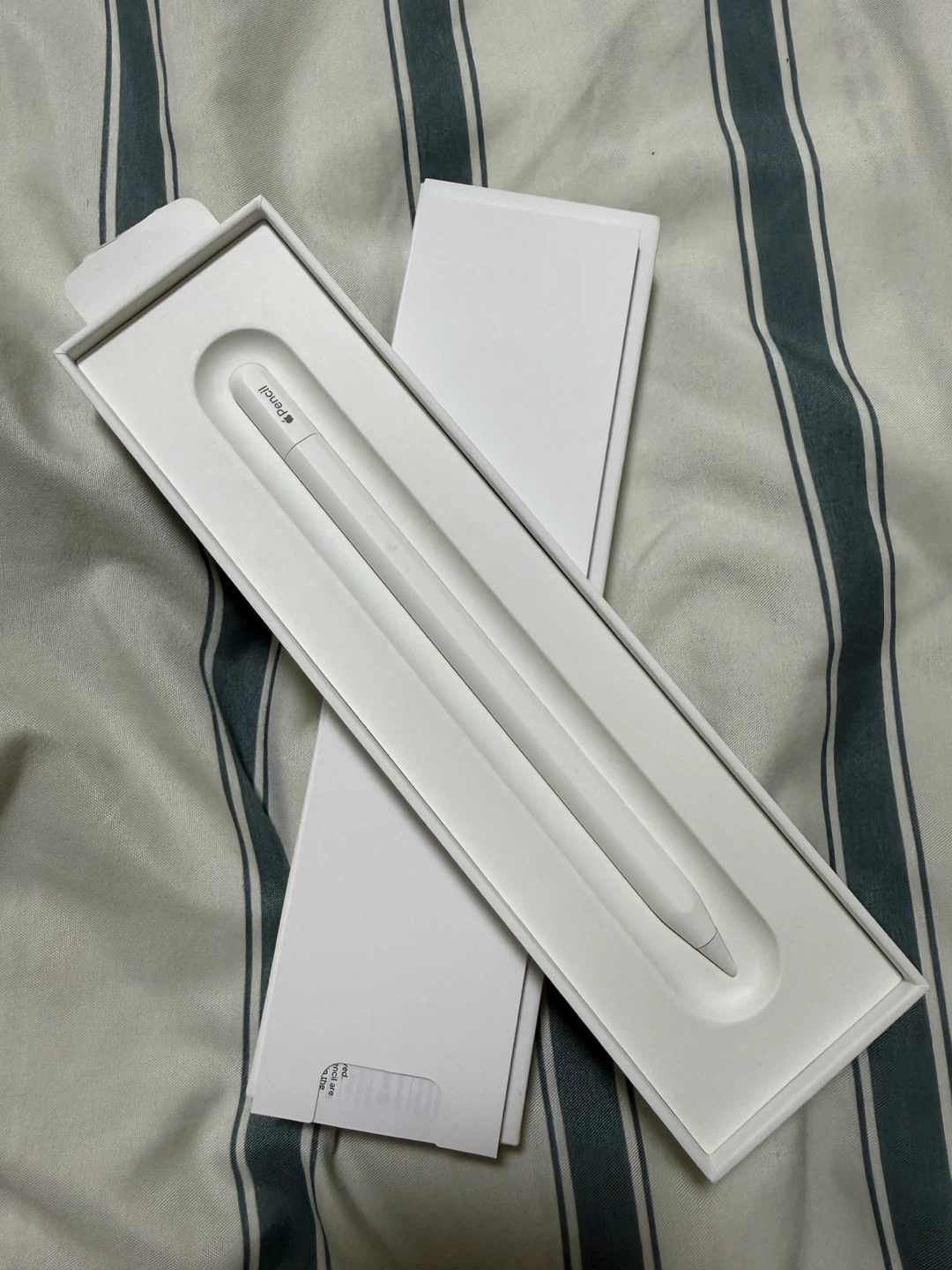Apple Pencil (USB-C) - photo 3